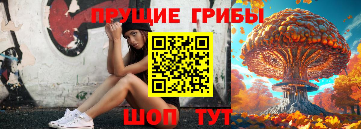 Кирово-Чепецк  Галлюциногенные грибы мухоморы  Вход с VPN 