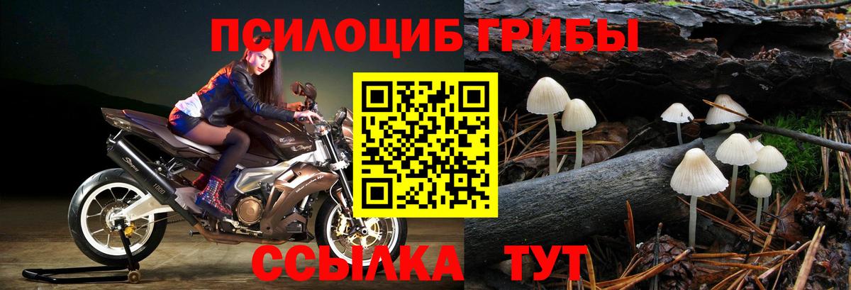 Галлюциногенные грибы ЛСД Кирово-Чепецк